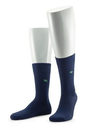 Носки мужские 15D11